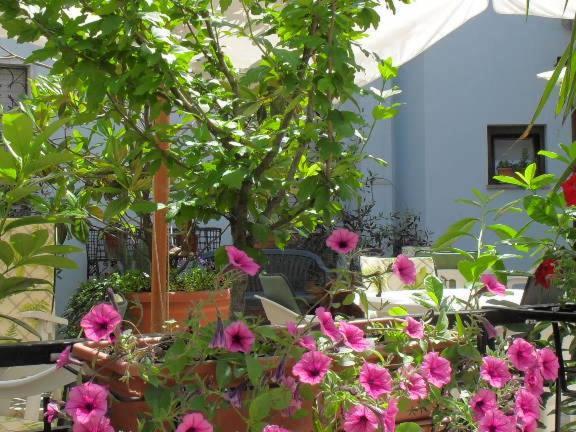 אבדיאה סאן סלבטורה Albergo Ristorante Olimpia מראה חיצוני תמונה